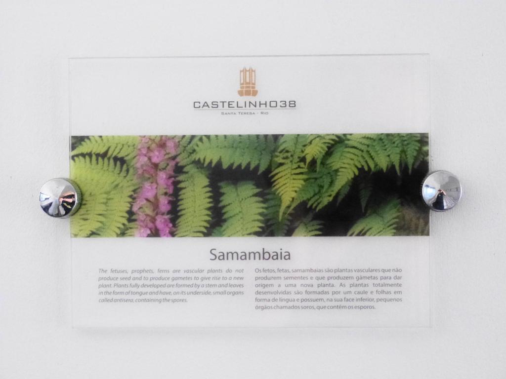Boutique Hotel Castelinho Rio de Janeiro Oda fotoğraf